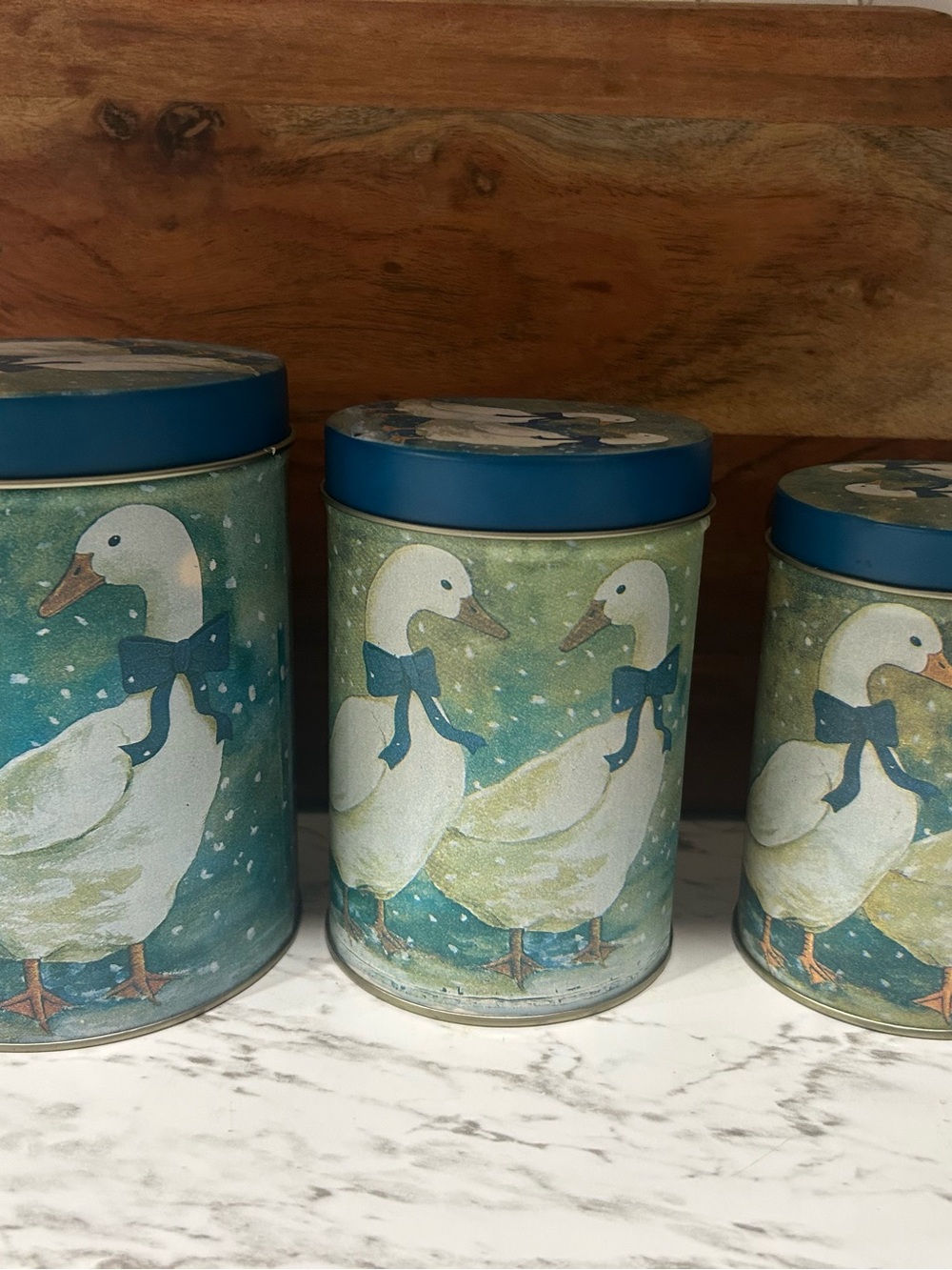 Duck Canister Set with Blue Lids and Bow Details